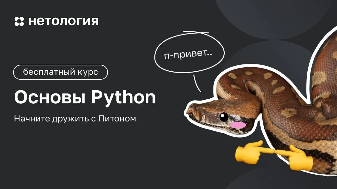 Бесплатные курсы по питону с нуля. Питон нетология. курсы по питону. бесплатные курсы python.