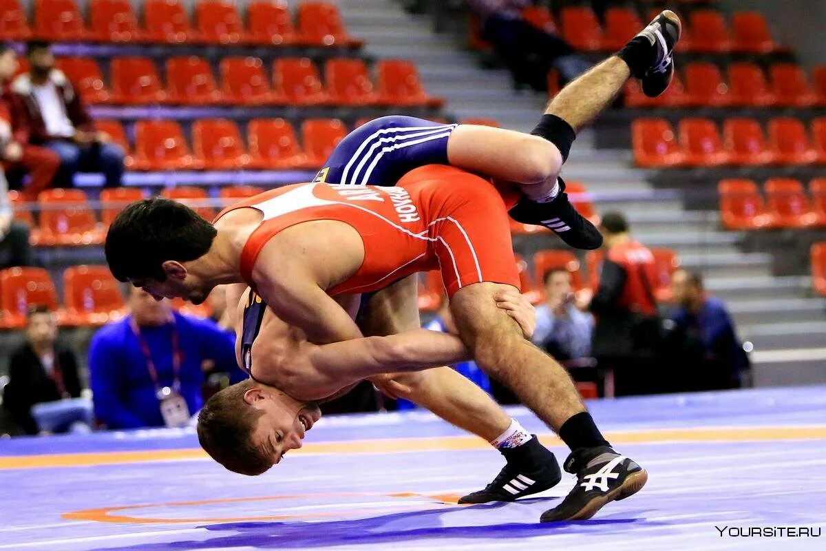 В каждой стране борьба. Спортивная борьба (Вольная борьба). Wrestling Вольная борьба.