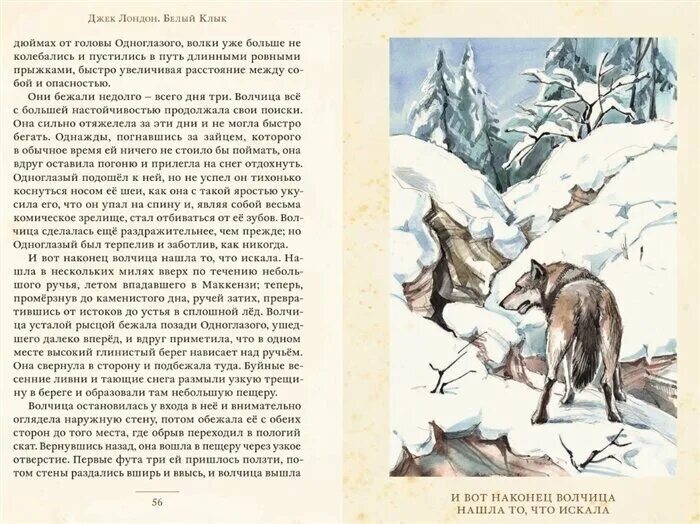 джек лондон кусок мяса книга. белый клык лондон читать полностью. джек лондон белый клык иллюстрации. лондон дж. белый клык джек лондон аудиокнига.