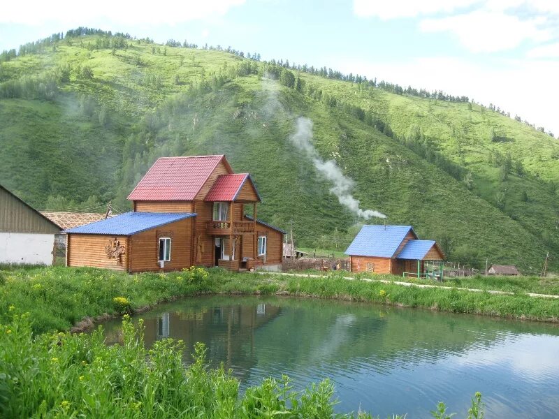 Базы село алтайское. Село белое Алтайский край. Турбаза белый Марал Алтайский край. Село белое Алтайский край Алтайский район. ООО белый Марал село белое Алтайский район Алтайский край.