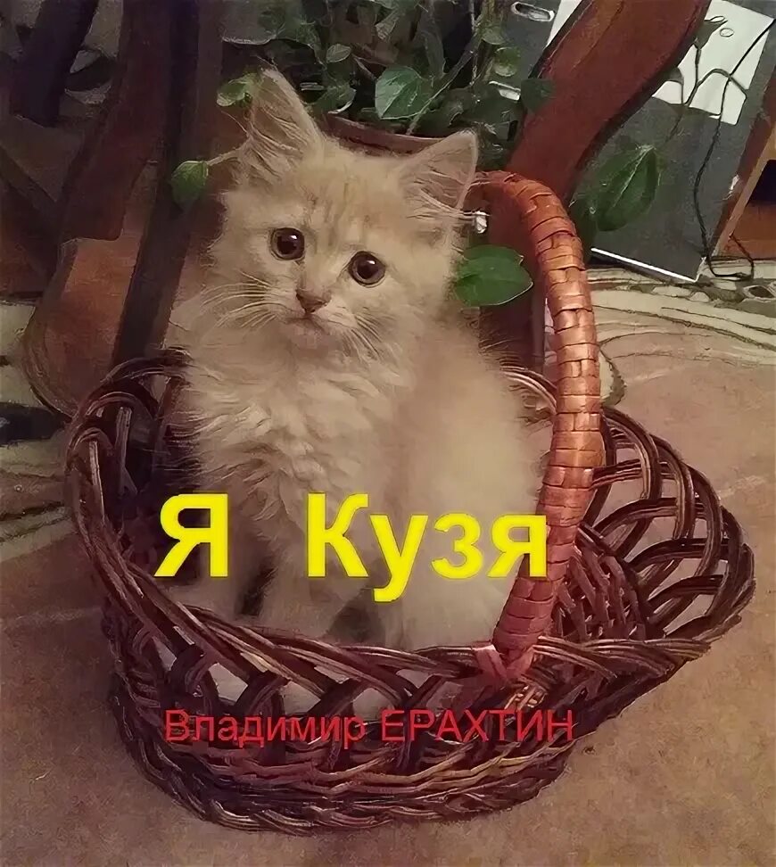 Кузя помнеш. Я Кузя. Наполнитель Кузя для котят. Кузя Здравствуй.