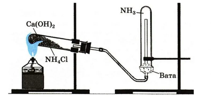 Прибор для получения аммиака в лаборатории. Взаимодействие аммиака с кислотами рисунок. Горение аммиака в кислороде рисунок. Лабораторный способ получения аммиака схема. Опыты по химии. Свойства водного раствора аммиака.
