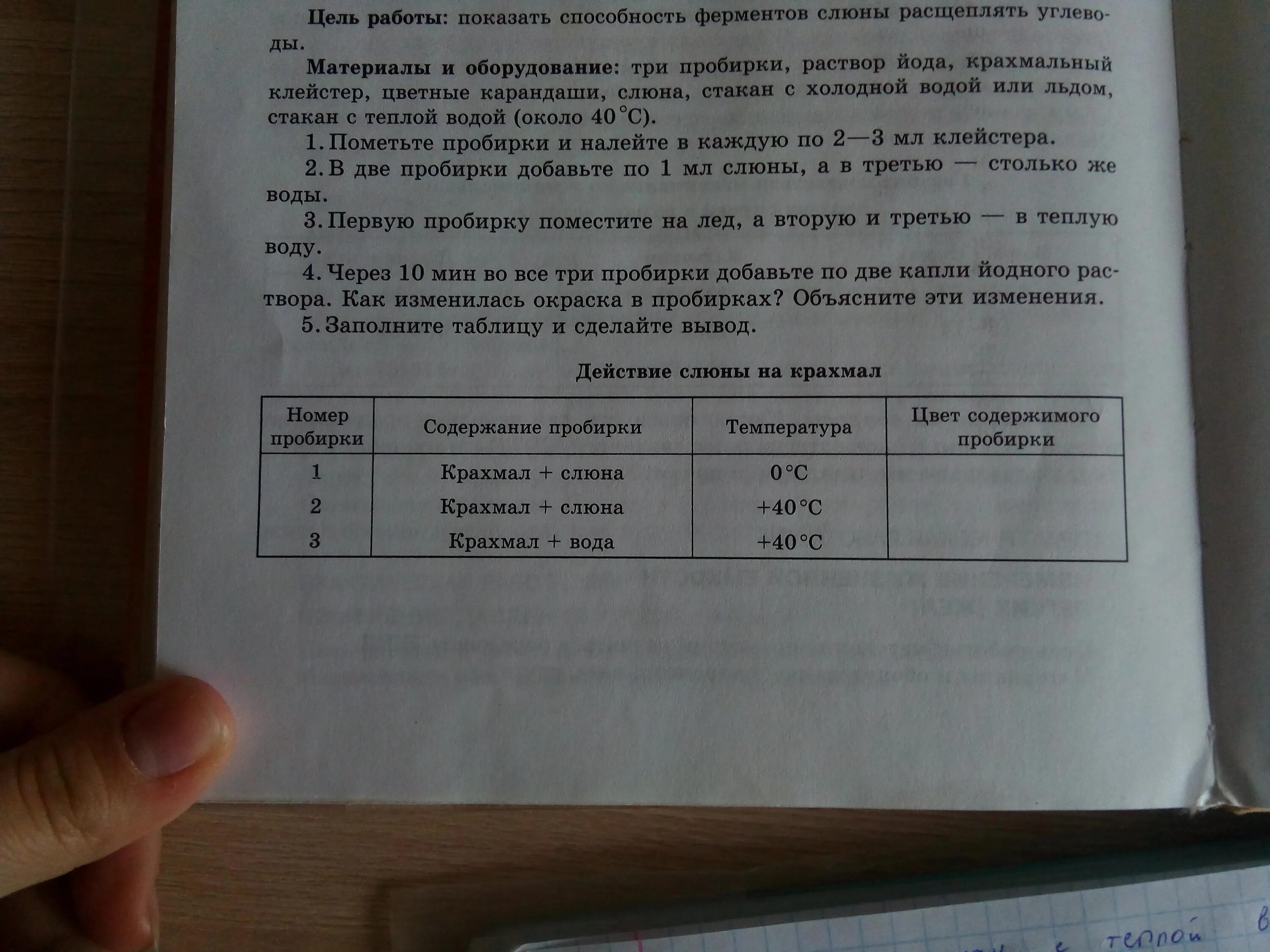 Лабораторная работа по биологии ферменты слюны. Лабораторная работа слюна и крахмал. Лабораторная работа действие слюны на крахмал. Лабораторная работа по биологии ферменты слюны и крахмала.