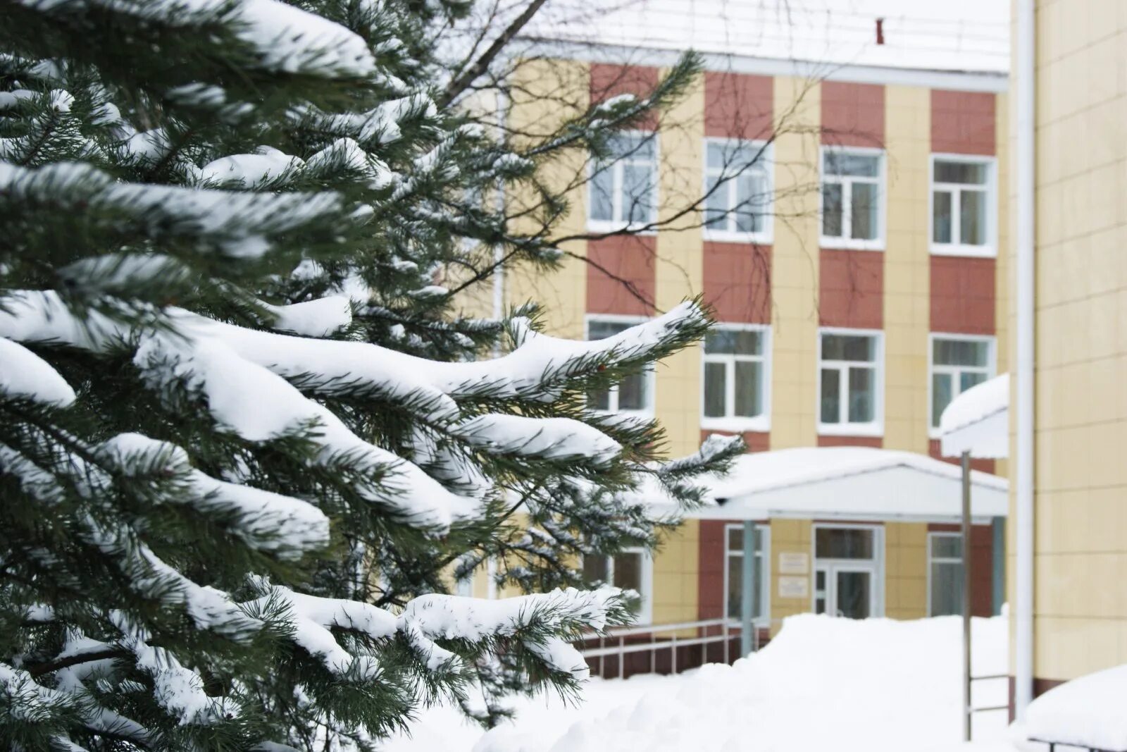 Пансионат на сульфате архангельск. Эдем пансионат для пожилых людей. Архангельск пансионаты для пожилых. Частный дом для пожилых людей. Тёплые беседы пансионат москва.