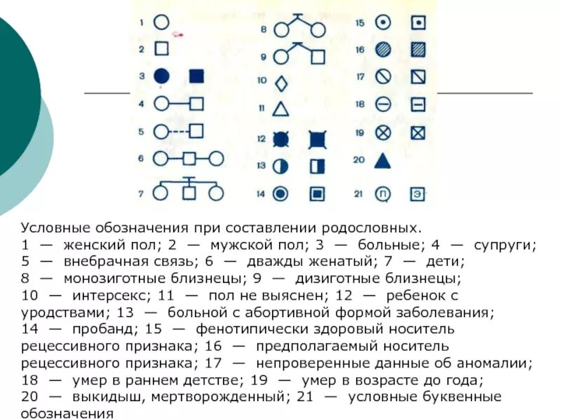 Условные обозначения в генеалогическом древе