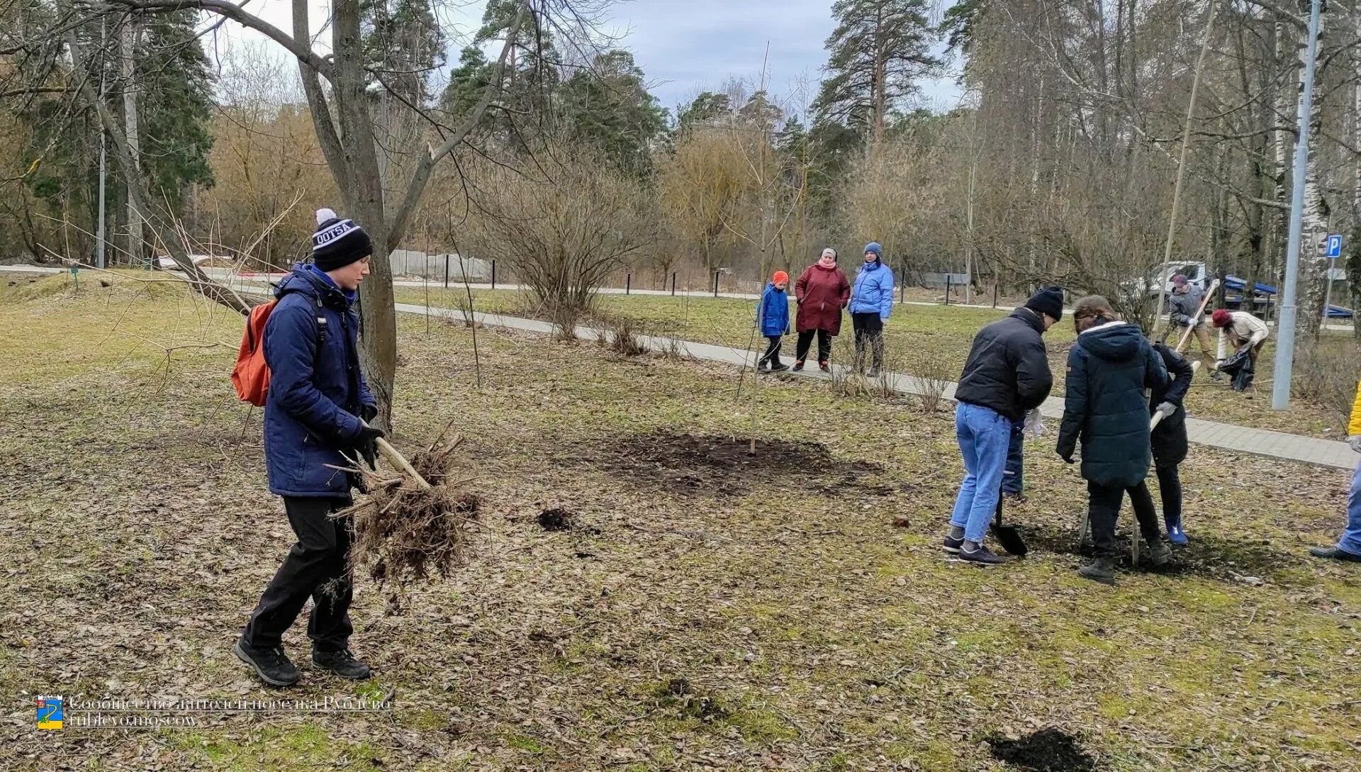 Посадили 56 деревьев. Субботник посадка деревьев. Посади лес. Леса сажает дерево. Посадка деревьев в Финляндии.