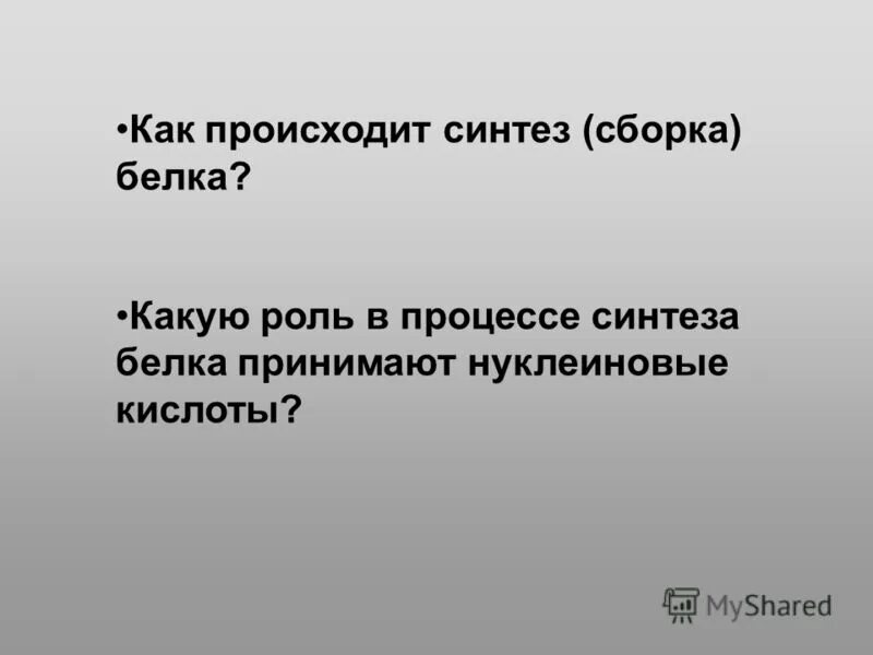 Сборка белка происходит