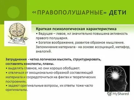 Краткая характеристика займитесь