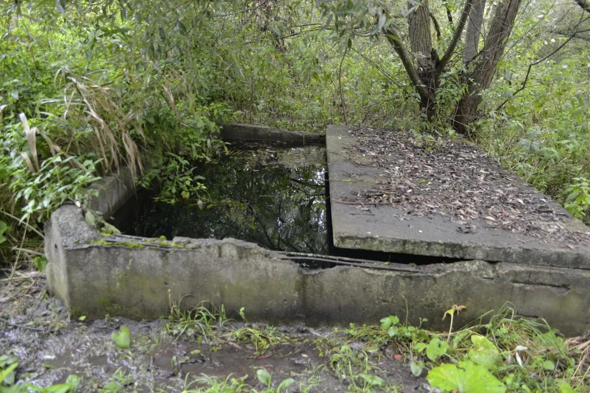 Карта село рамзай пензенская\область. Село рамзай пенза. Погода рамзай на 10 дней. Чистые пруды, село рамзай. Мокшанский районный дом культуры.