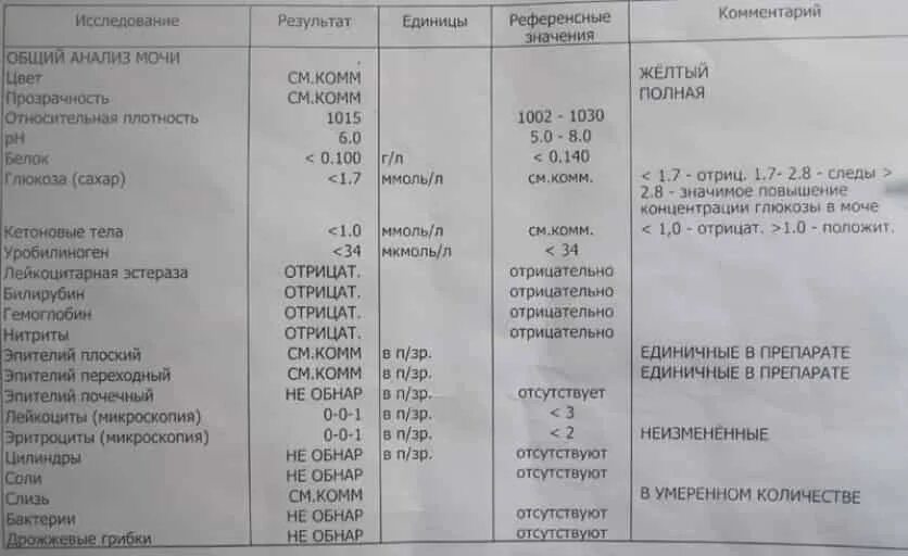 Повышенная глюкоза в моче у мужчин. Анализ мочи прозрачность. Общий анализ мочи на сахар. Общий анализ мочи Глюкоза. Общий анализ мочи прозрачность полная что это.