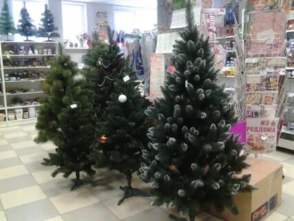 В каких магазинах продают елки