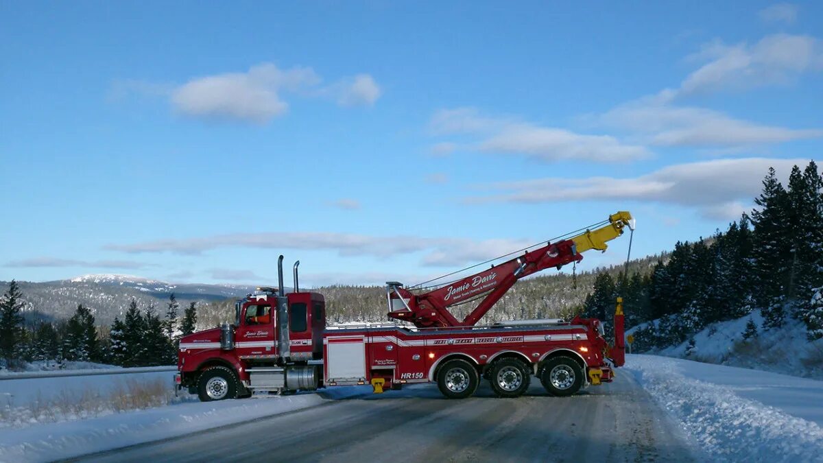 Калифорния redwood highway. Дорога у леса. Дорога через лес. Экодук нидерланды. Автомагистраль.