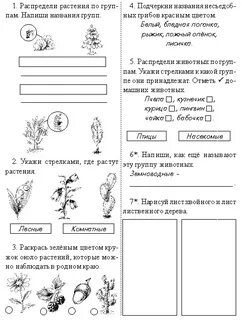 Задание по окружающему миру 1 класс распечатать