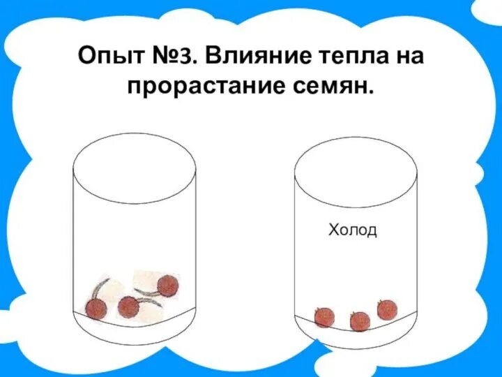 Как температура влияет на прорастание семян опыт. Влияние тепла на прорастание семян. влияние тепла на предметы 2 класс. эксперименты с влиянием тепла. как влияет тепло на прорастание семян.
