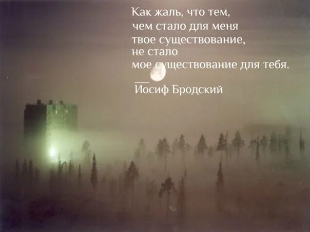 Как жаль что моё существование не стало тем. Бродский как жаль. Иосиф бродский стихи о любви. Как жаль что тем чем стало для меня твое существование. Бродский как жаль что тем чем стало.