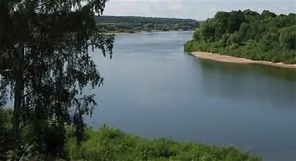 Река сейм глушково. Река донецкая сеймица. Река сейм карыж. Река сейм курск. Река сейм курск.