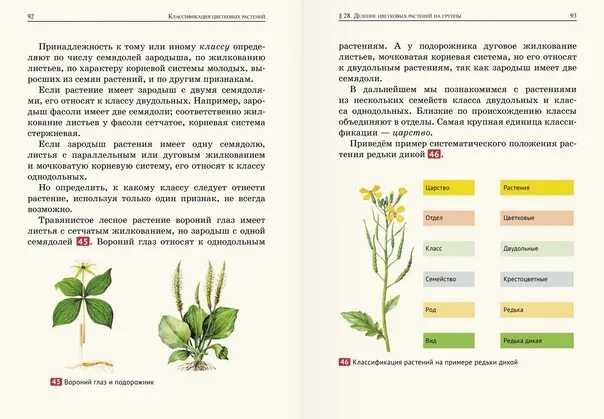 Уроки ботаники: Пособие для учителя Кузнецова В. И. - купить с доставкой по выго