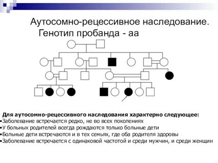 Аутосомно доминантный задачи