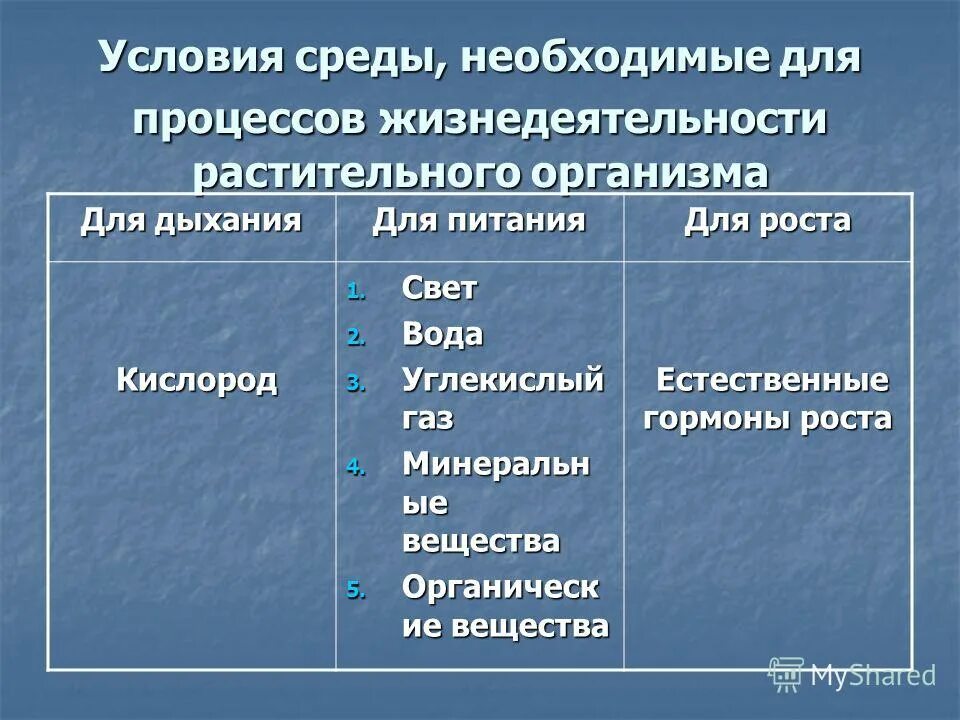 Хранение продуктов жизнедеятельности растительной