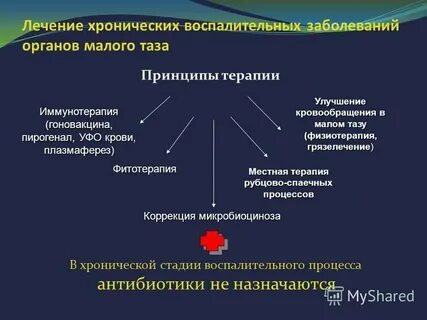 Провокация пирогеналом