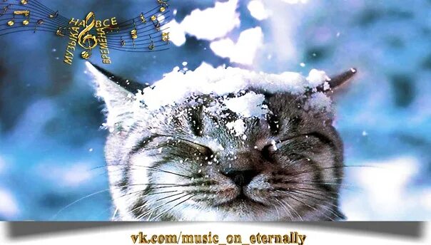 Snowfall музыка. Машина времени снег. Машина времени музыка под снегом. Snowfall Music. End of title Snowfall Music.
