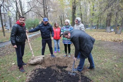Работа в ломоносовском районе