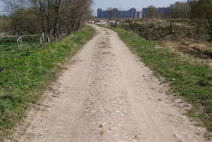 Древние грунтовые дороги. Дорога на Каменку. Дорога на Питер Старая. Старая грунтовая дорога из Борисоглебска.