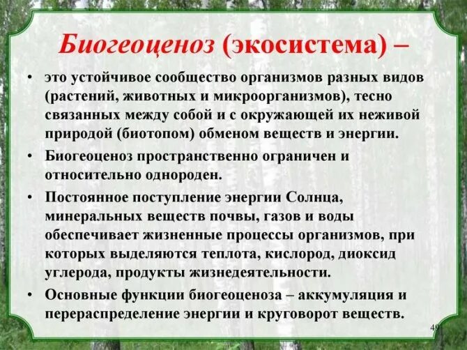 Выберите три признака характерных для биогеоценоза. Характеристика биогеоценоза. Функции биогеоценоза. Биогеоценоз и его компоненты. Основная функция биогеоценоза.