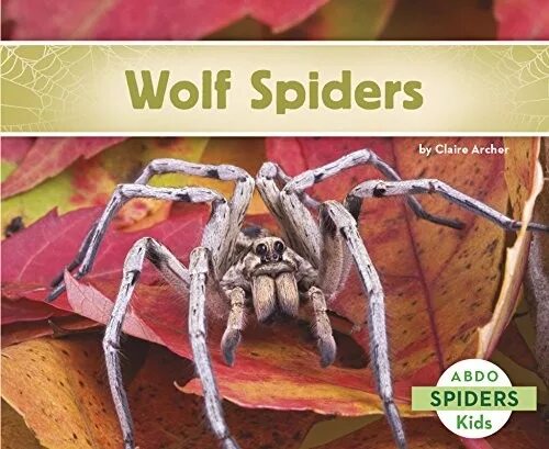 Reading spider. Reading spider