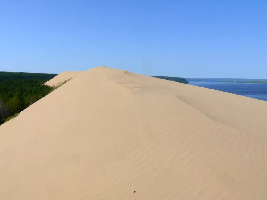 дюны тукуланы якутия. тукуланы – якутские пустыни. дюны в якутии. песчаные дюны тукуланы якутия. песчаные дюны тукуланы якутия.