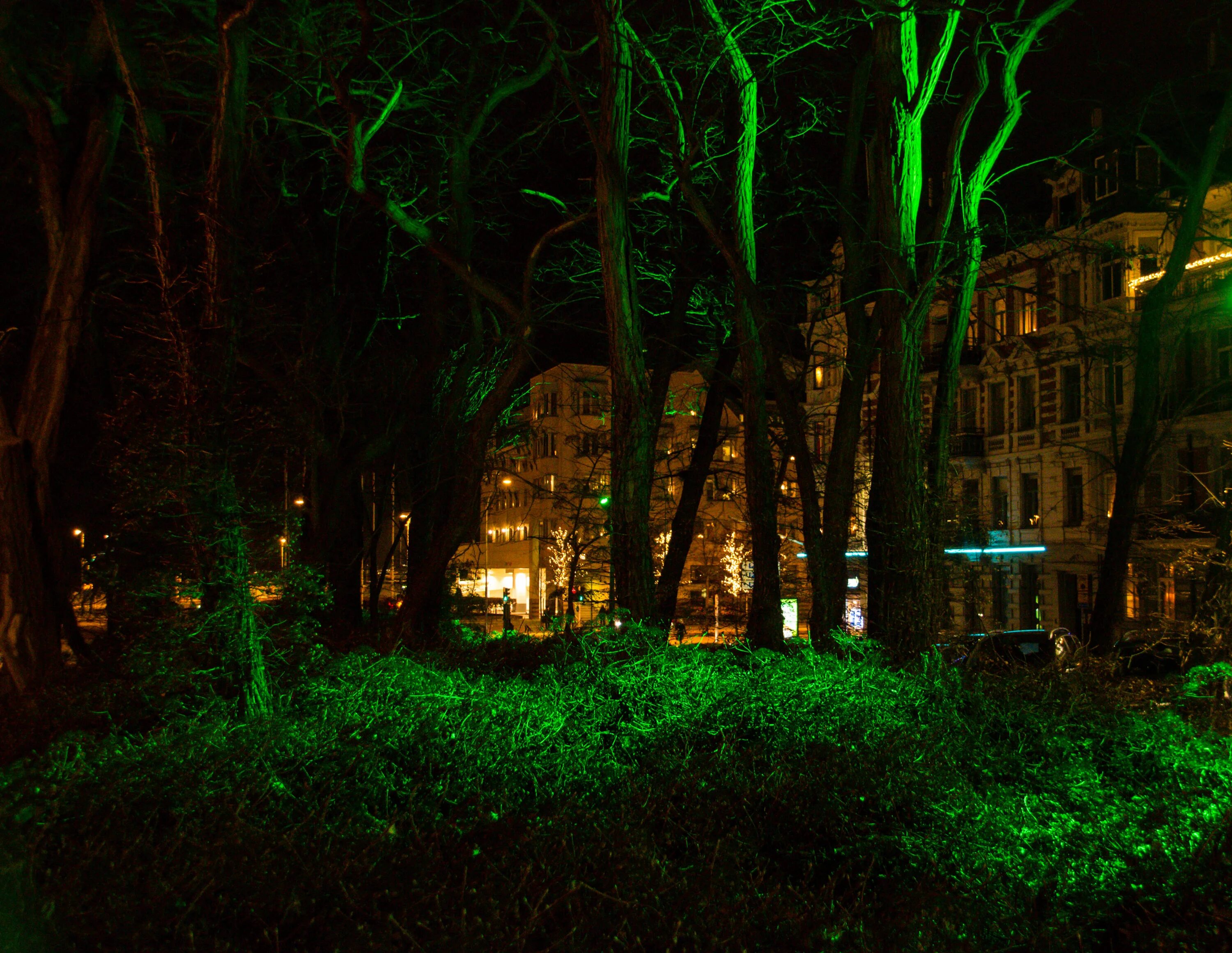 Ночь лес город. Зеленый вечер. Улица ночью лес. Вид из леса на город ночью. Виднеются ночью