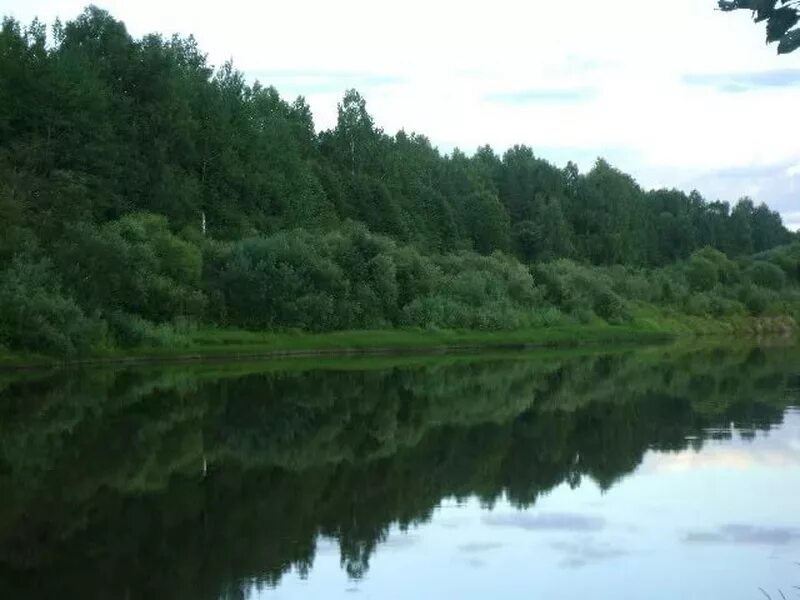 Река нея Костромская область. Реки Макарьевского района. Реки в Костромской области Макарьевский район. Озерная река Яхруст Костромская область. Реки озера костромской области