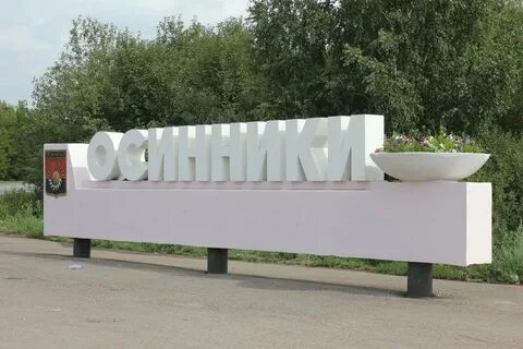Нова киселевск