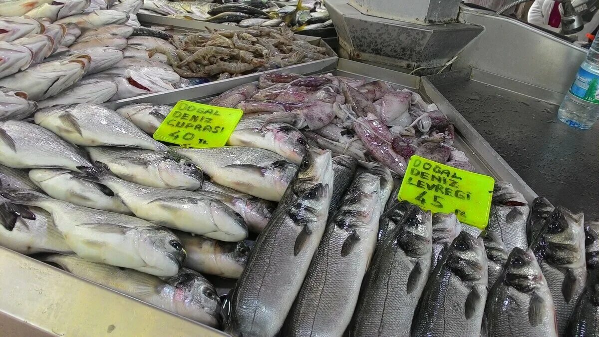 Где купить недорого рыбы. Чупра рыба в Турции. Рыбный рынок Турция. Рыба на рынке названия. Рыба на рынке.
