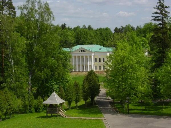 Школа плесково фото. Школа пансионат плесково. Школа пансион плесково. Плесково православная школа. Усадьба плесково.