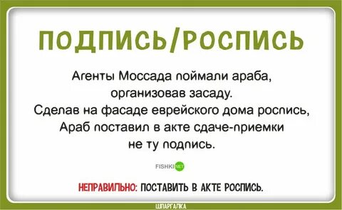 Окружающую среду ударение