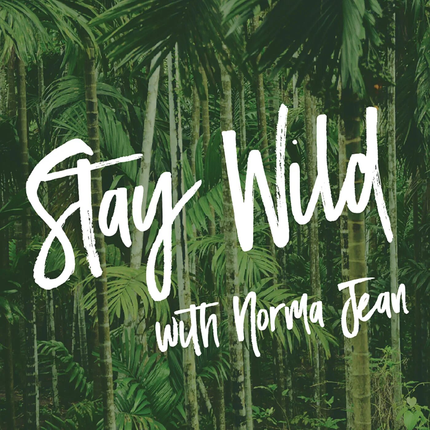 Wild перевести на русский. Stay Wild. Картинка stay Wild. Stay true stay Wild. Stay Wild stay true. Кофта.