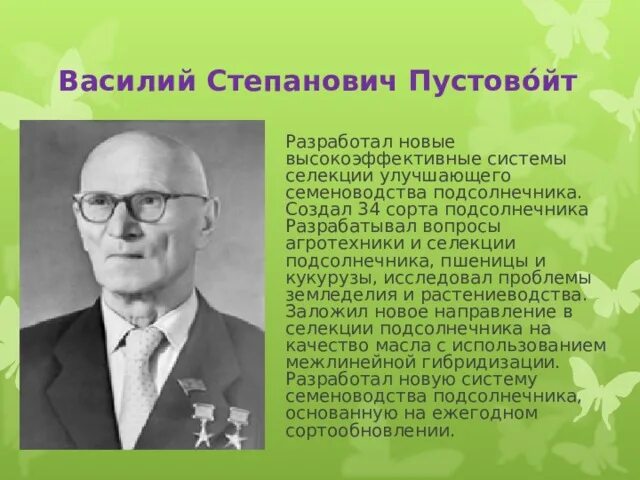 Пустовойт селекционер достижения. Труженики полей Кубани Пустовойт. Труженики краснодарского края и их достижения