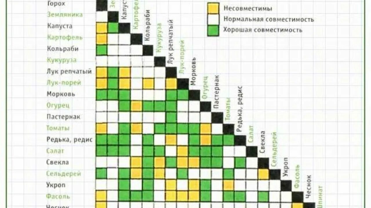 Неправильное товарное соседство. Таблица совместимости растений на огороде соседство овощей. Соседство овощей и фруктов в магазине. Товарное соседство овощей и фруктов. Товарное соседство овощей и фруктов в магазине.