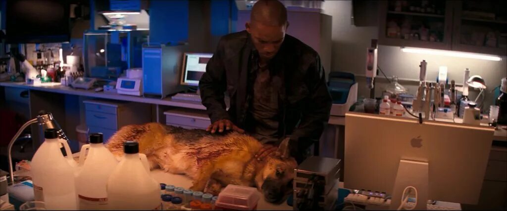 Я легенда ужас. Я – легенда i am legend, 2007 зомби. Я легенда ужас. Уилл смит и собака из я легенда. Я легенда ужас.