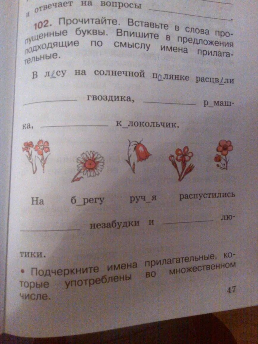 В лесу на солнечной полянке расцвели гвоздика. В лесу на солнечной полянке расцвели ответы. Вставь в предложения подходящие по смыслу слова на солнышке. В лесу на солнечной полянке расцвели 2 класс. На солнечной полянке расцвела.......…............гвоздика.