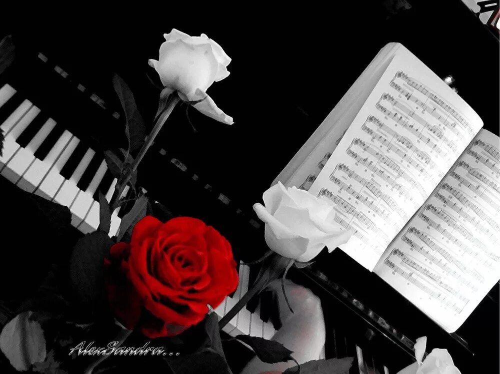 Открытка под песню. Пианино с цветами. Рояль с цветами. Открытка с днем рождения с роялем. Цветы на рояле.