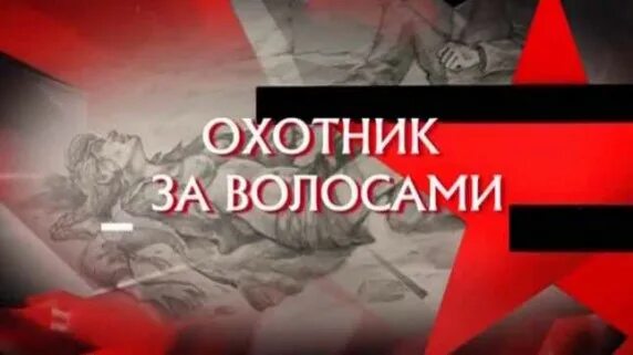 Следствие вели с леонидом каневским канал. Следствие вели. Следствие вели охотник за волосами. Заголовки из следствие вели. Ваш не следствие вели.