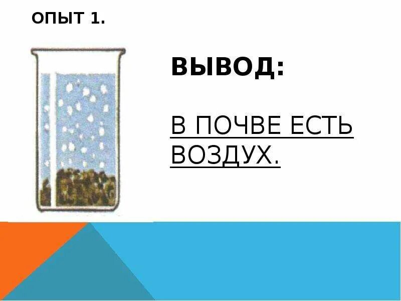 Как доказать что в почве есть глина. Опыты с почвой. в почве есть вода опыт. опыт с почвой и водой. в почве есть воздух.