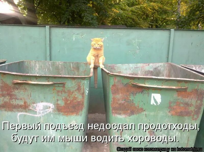 Ведь с тобой мой мусорок