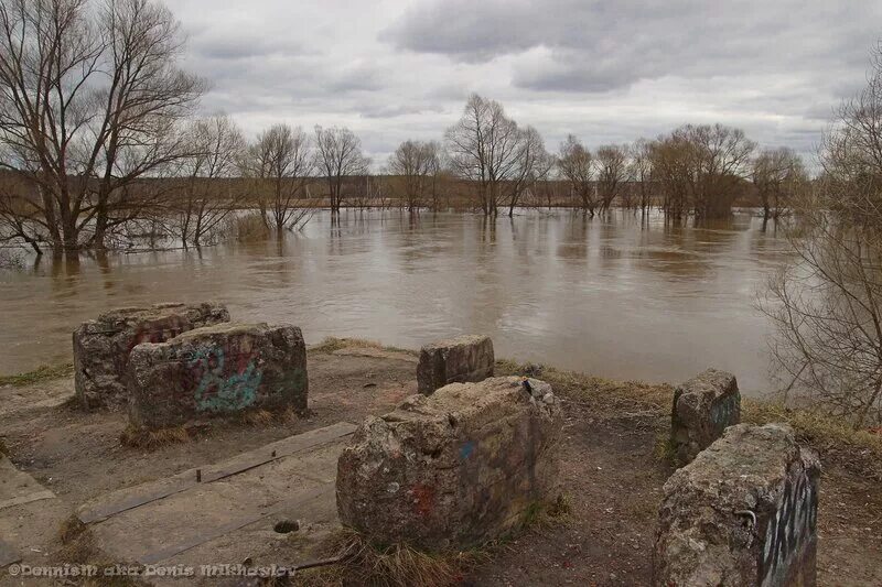 Уровень реки воря мишнево