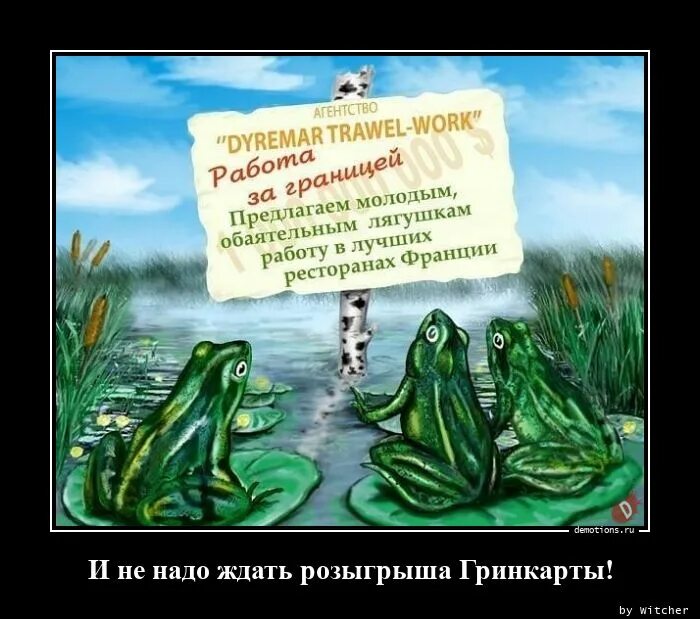 Не лягушку а неведому. Анекдот про лягушку. Шутки про лягушек. Лягушка прикол. Смешные анекдоты про лягушек.