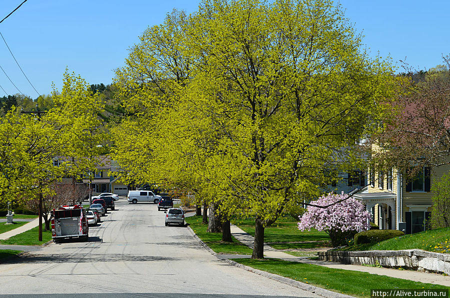 Шумиха весенняя улица. Улица вешняя. Проталины в городе. Улица вешняя. Улица вешняя.