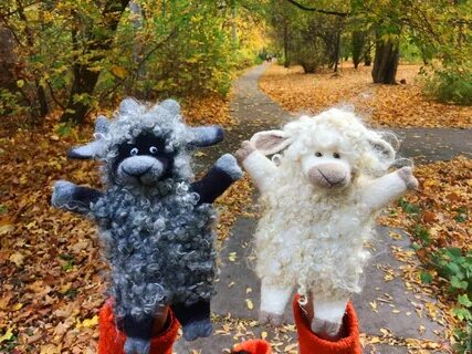 Устраивать барашек егэ