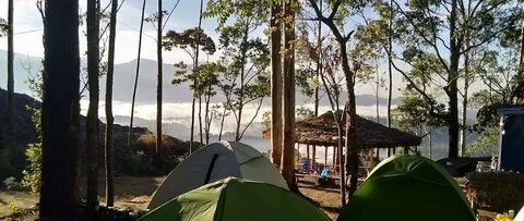 Jungle camp